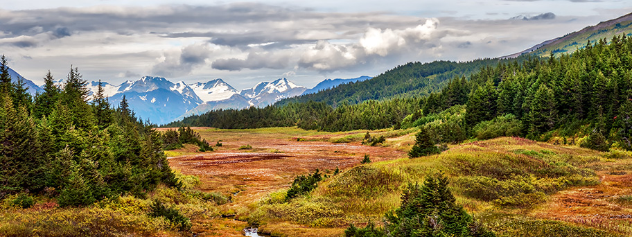 Tok Landschaft